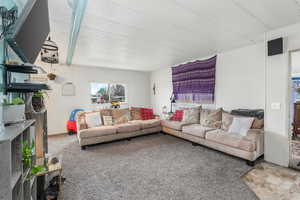 Living room featuring carpet floors