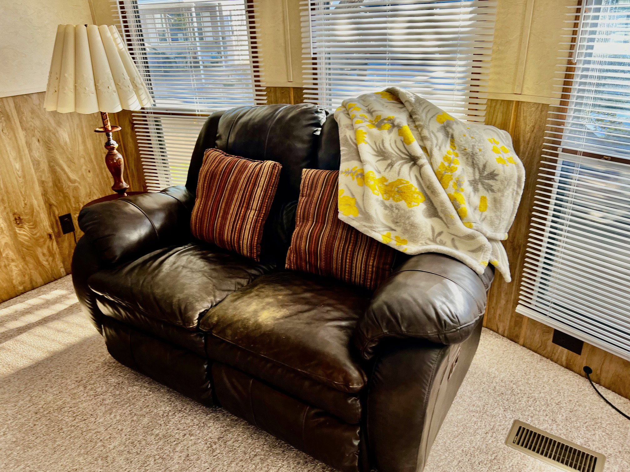 Carpeted living room featuring wood walls