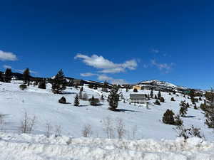 Yard covered in snow featuring a mountain view