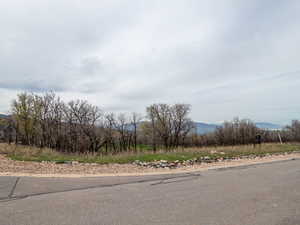 View of street with a mountain view