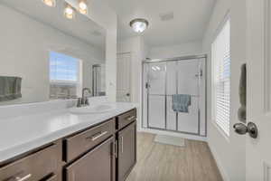 Bathroom with vanity, hardwood / wood-style floors, and a shower with door