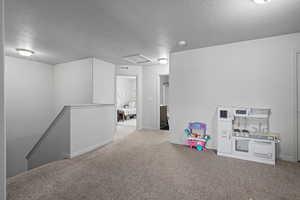 Playroom/Den/Loft featuring carpet