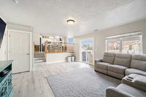 Living room featuring a textured ceiling and wood-type flooring