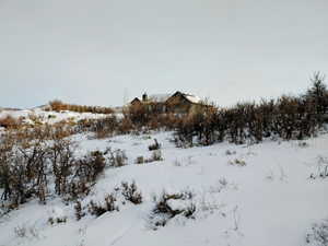 View of snowy yard