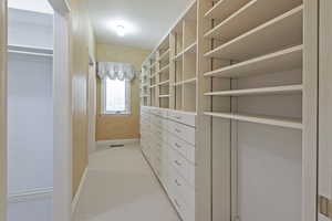 Walk in closet with light carpet