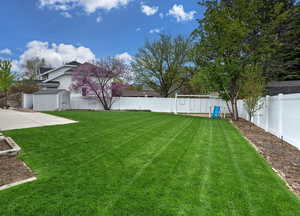 View of yard with a storage unit and a patio area