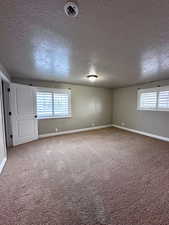 Carpeted empty room featuring a textured ceiling and a healthy amount of sunlight