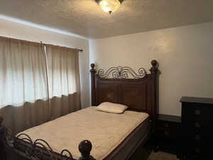 Bedroom with a textured ceiling