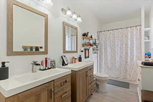 Bathroom featuring toilet, vanity, a shower with curtain, and wood-type flooring