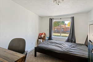 Carpeted bedroom featuring a textured ceiling