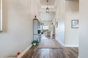 Hallway with a tray ceiling and dark hardwood / wood-style floors