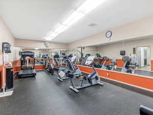 Fitness Equipment