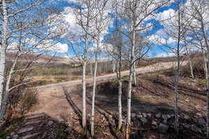 View of driveway access and Bench Lake (Seasonal) from front deck.