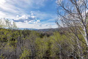 Mountain view from back deck.