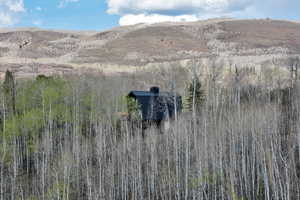 View of mountain feature and back of cabin from Lake Pines Dr