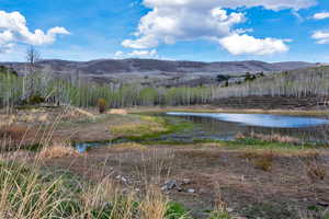 View of Mountain and Bench Lake (Seasonal) From Front of Cabin