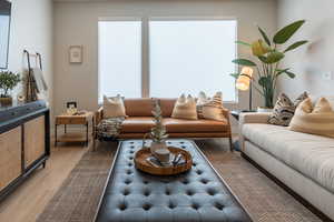 Living room featuring wood-type flooring