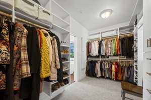 Walk in closet featuring carpet floors