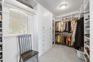 Walk in closet featuring light carpet