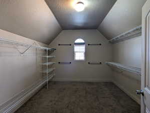 Primary bedroom walk in closet featuring carpet flooring and vaulted ceiling
