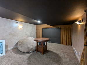 Cinema with carpet flooring, baseboards, and visible vents