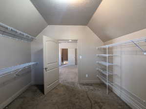 Walk in closet featuring carpet and vaulted ceiling