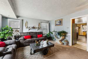 Living room featuring carpet and a textured ceiling