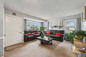 Living room featuring light carpet and a textured ceiling