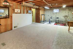 Basement featuring carpet