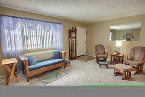 Living room featuring carpet floors and a textured ceiling