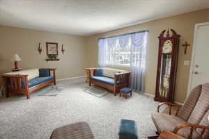 Living area featuring a textured ceiling and carpet flooring