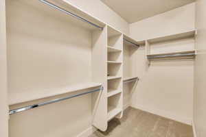 Walk in closet with carpet floors