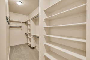 Walk in closet with carpet flooring