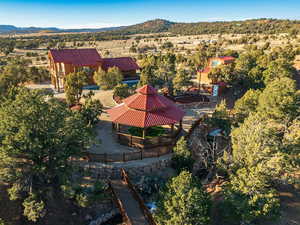 Drone / aerial view featuring a mountain view