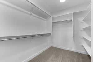 Spacious closet featuring carpet