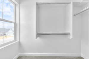 Spacious closet featuring carpet flooring