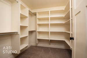 Walk in closet with carpet floors