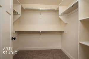 Walk in closet with carpet