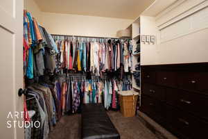 Spacious closet with dark colored carpet