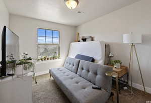 Living area with carpet and a textured ceiling