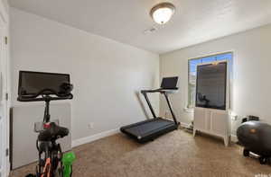 Workout room with carpet and a textured ceiling