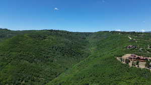 Mountain view featuring a forest