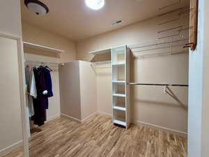 Spacious closet with light wood-type flooring