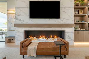 Details featuring wood-type flooring and a high end fireplace