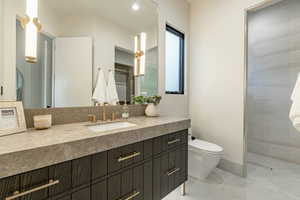 Bathroom featuring a shower, toilet, and vanity