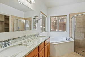 Bathroom with separate shower and tub and vanity