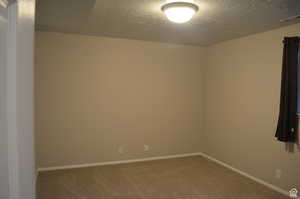 Carpeted spare room with a textured ceiling