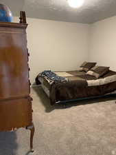 Bedroom with a textured ceiling and carpet flooring