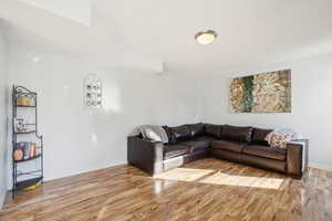 Living room featuring light wood-type flooring