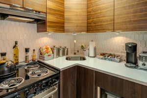 Kitchen featuring stainless steel electric range, sink, and decorative backsplash